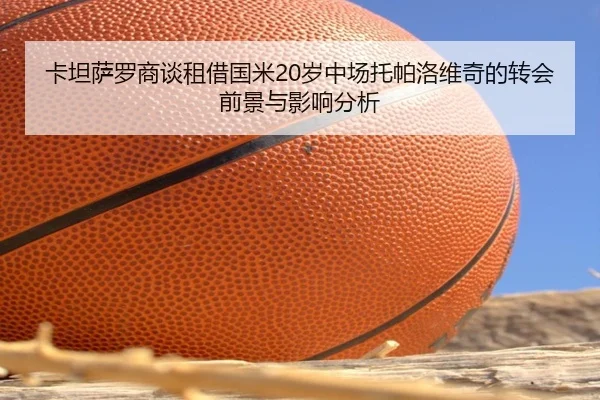 卡坦萨罗商谈租借国米20岁中场托帕洛维奇的转会前景与影响分析